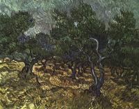 Gogh, Vincent van - The Olive Grove